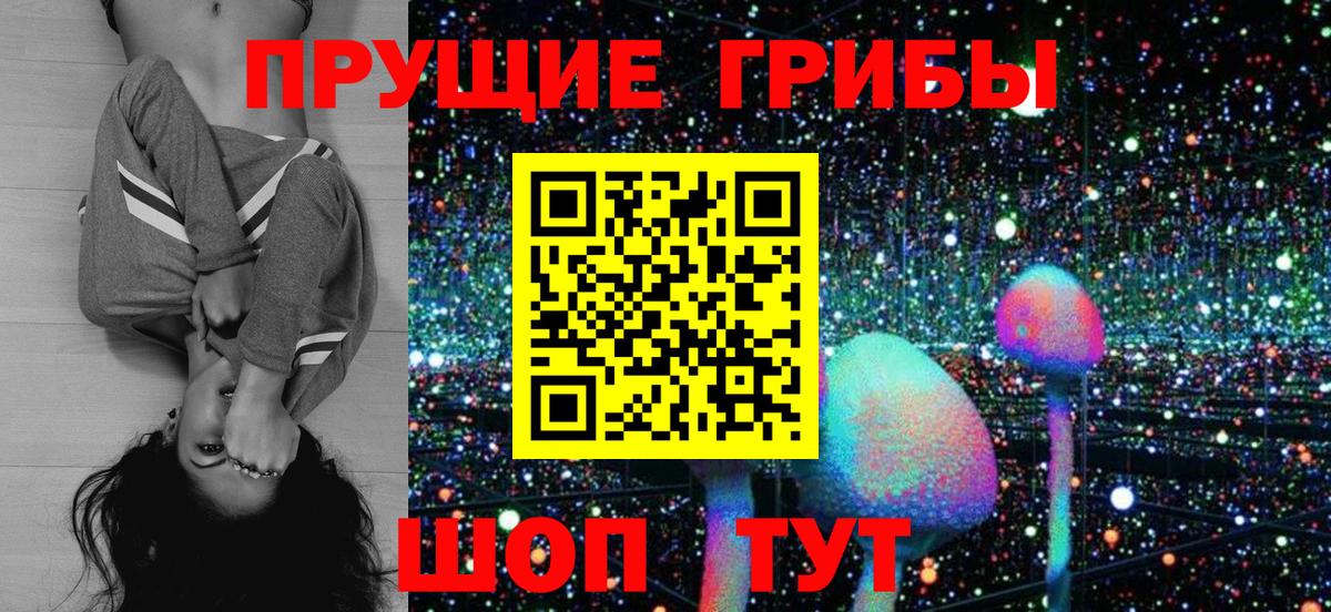 Асино  Галлюциногенные грибы Psilocybe  Вход с VPN 